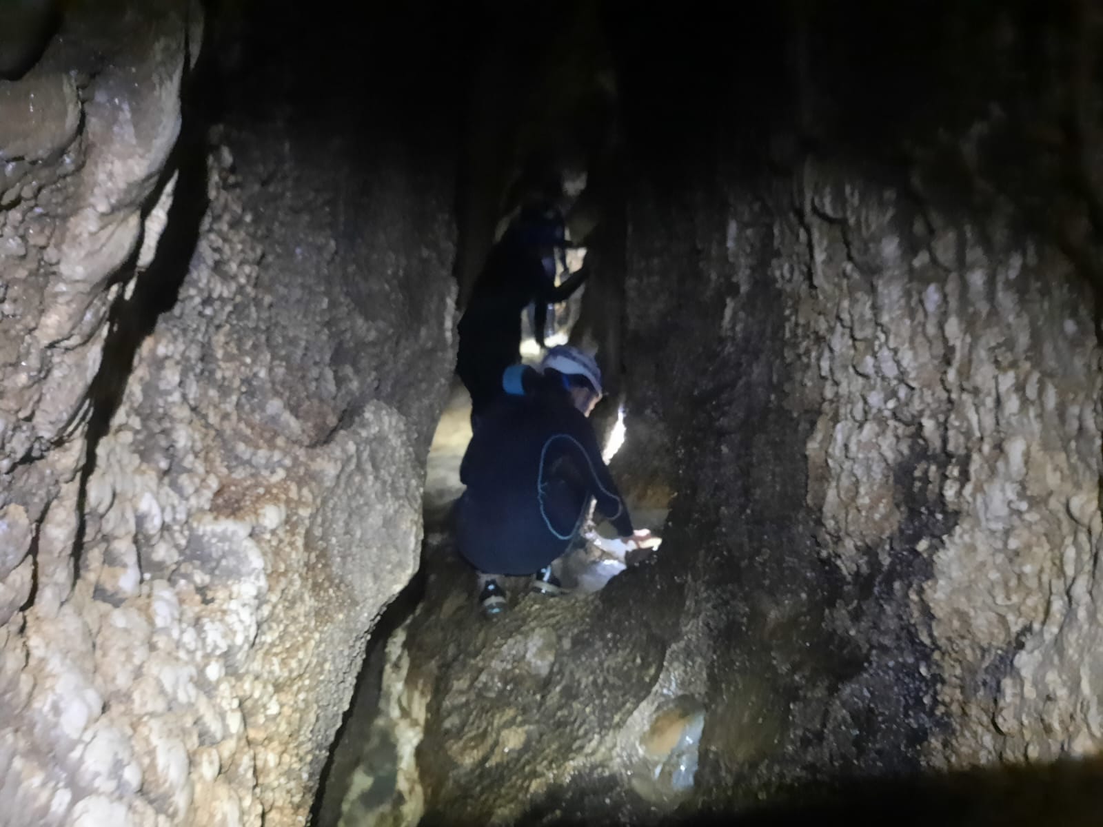 Peștera Pepii - Image 5